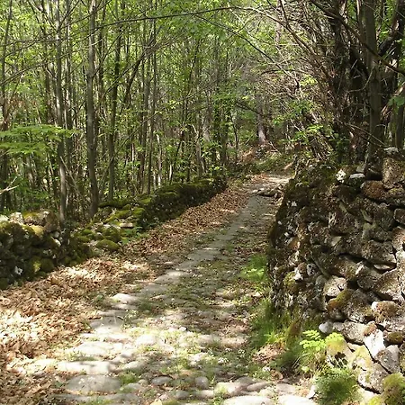 Camping Camping Chasselouve Jaujac
